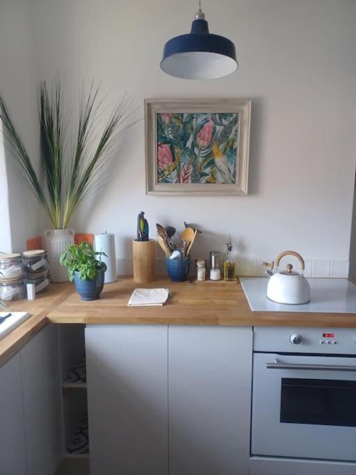 The Fuzzy Duck Appartement Broughty Ferry Buitenkant foto