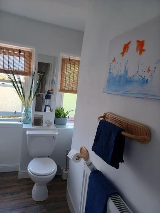 The Fuzzy Duck Appartement Broughty Ferry Buitenkant foto