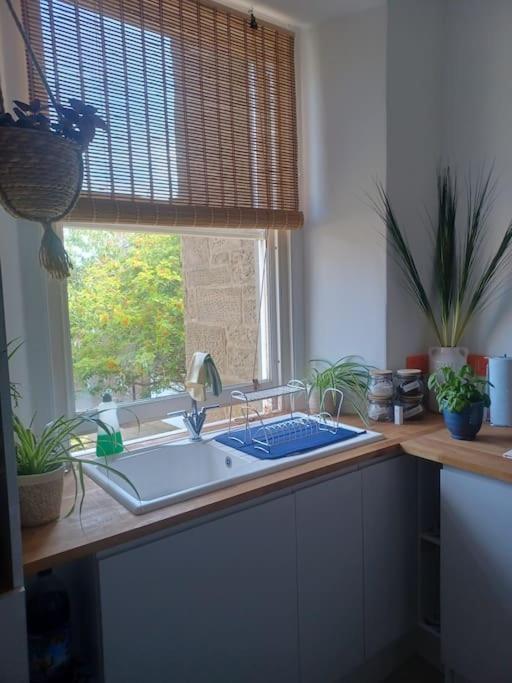 The Fuzzy Duck Appartement Broughty Ferry Buitenkant foto